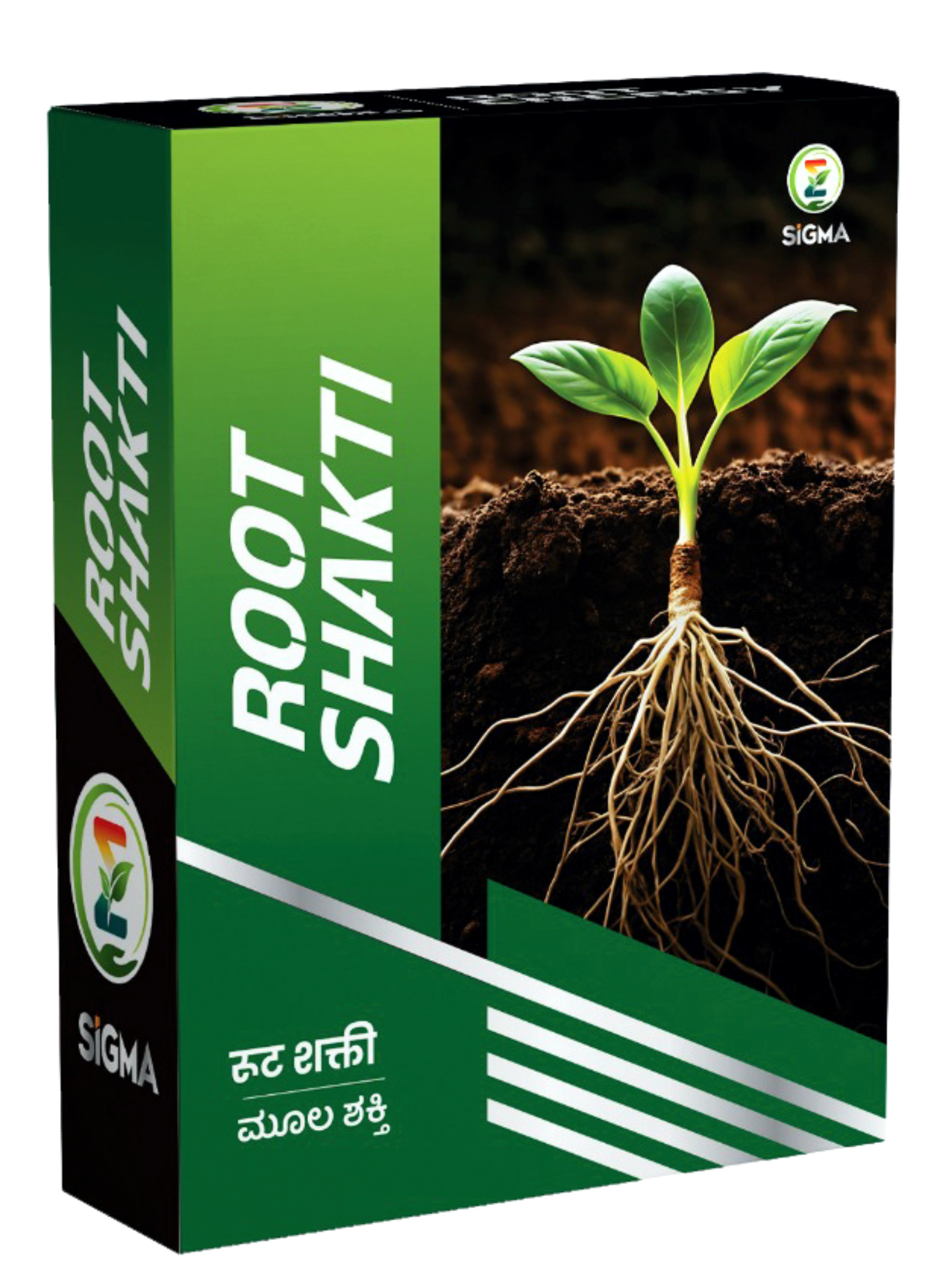 Root Shakti